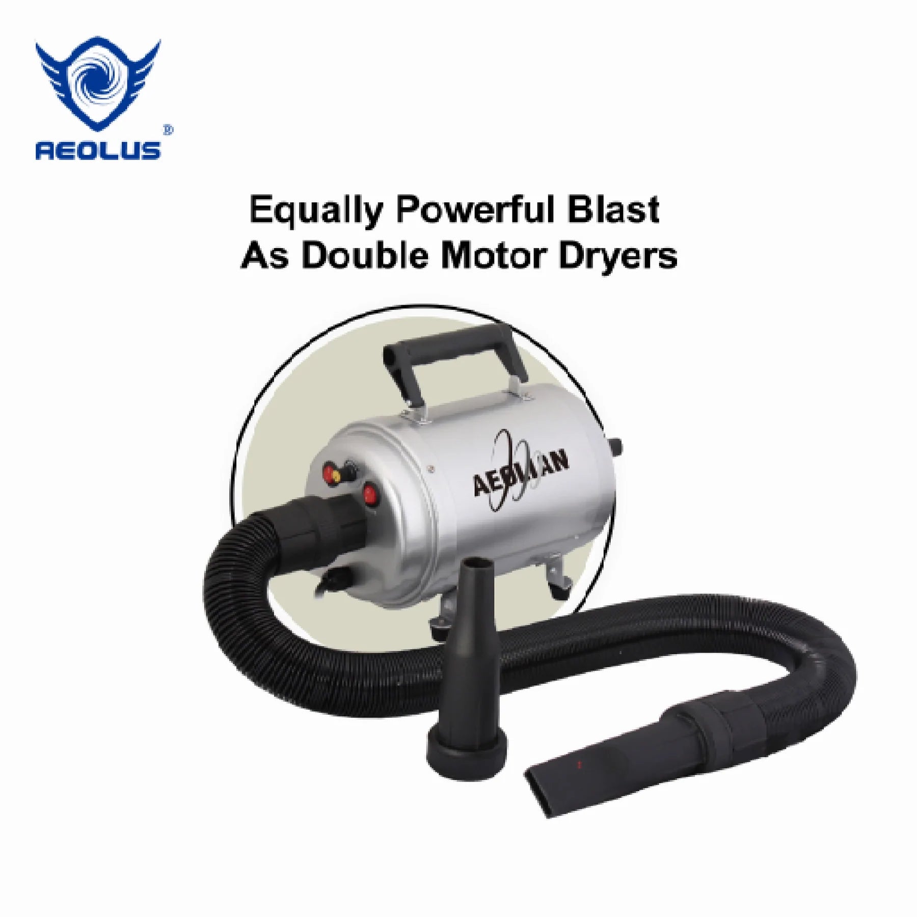 Aeolian Blaster Single Motor Dog Dryer with Heater Function 2800W