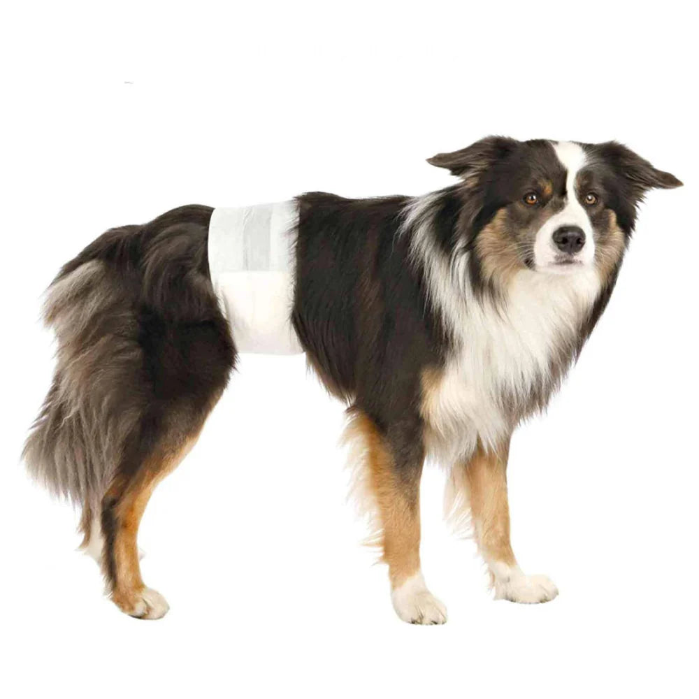 Trixie Diapers for Male Dogs