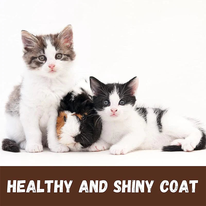 Bio-Groom Purrfect White Cat Conditioning Shampoo 236 ml
