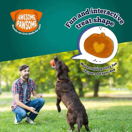 Awesome Pawsome Super Pumpkin Recipe All-Natural Grain-Free Dog Treats - 85gm