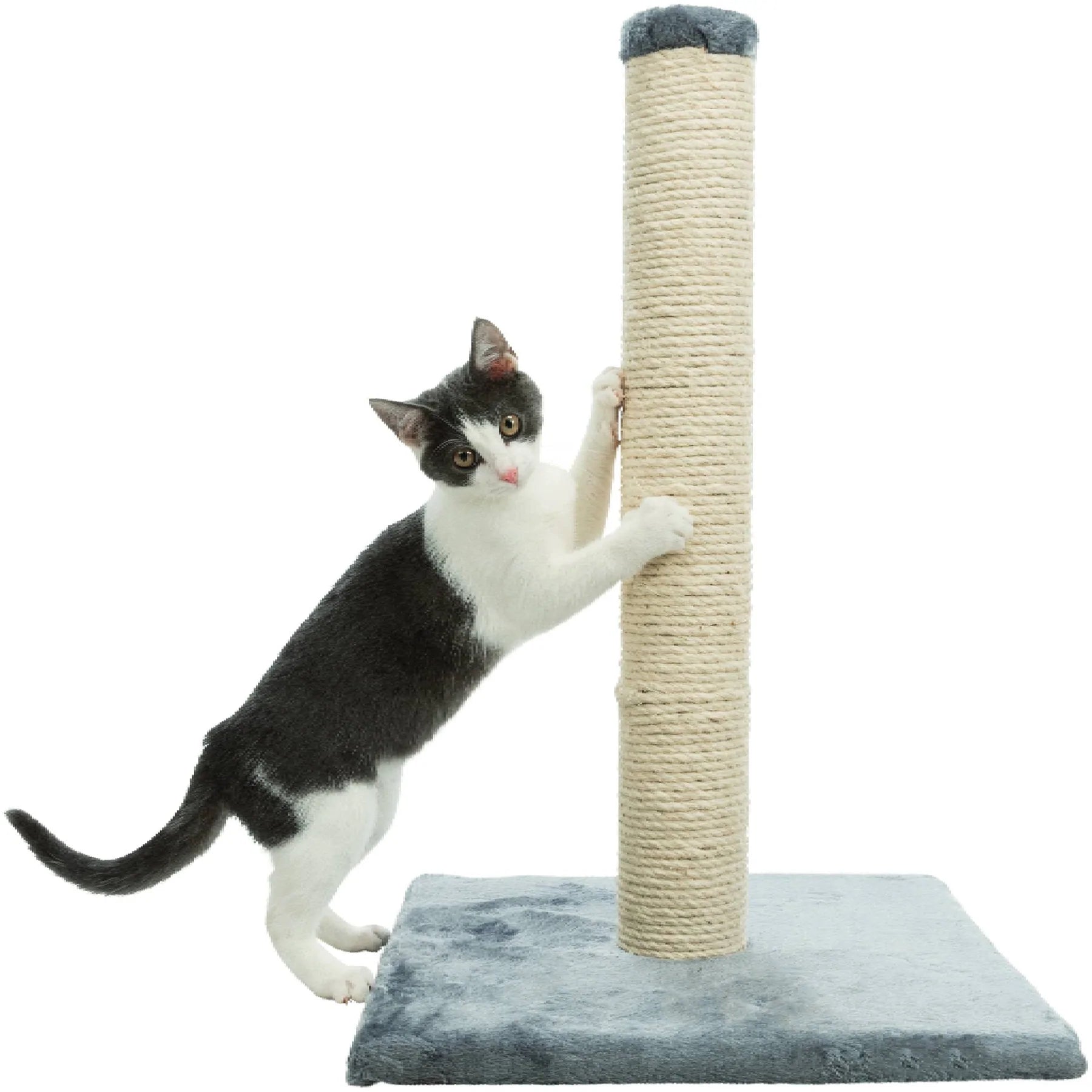 Trixie Pole Type Cat Scratching Post