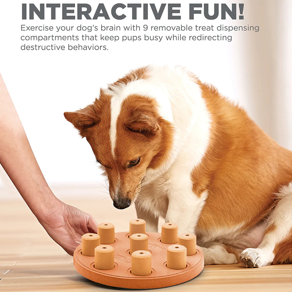 Outward Hound (Nina Ottosson) Smart Composite Interactive Treat Puzzle Dog Toy - Orange