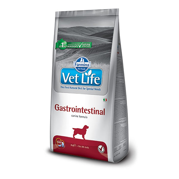 VetLife Gastrointestinal Adult Dry Dog Food