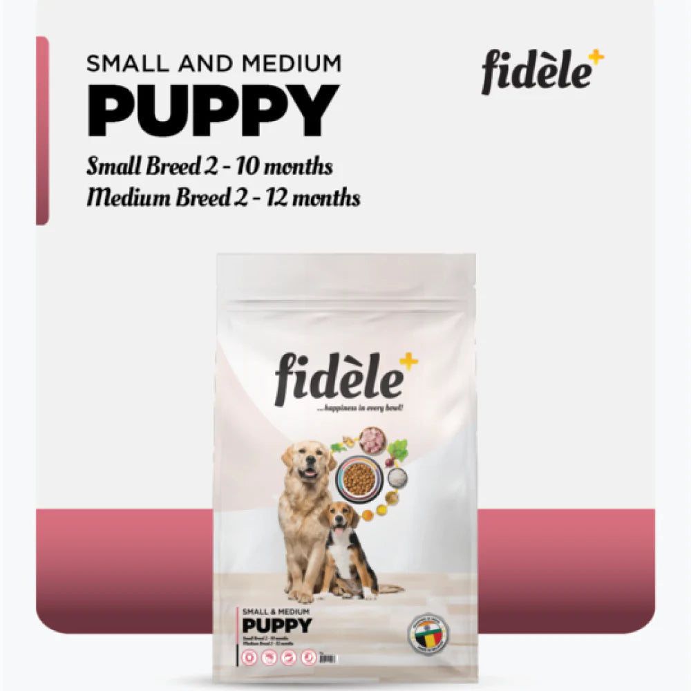 Fidele Plus Small & Medium Puppy Dry Dog Food