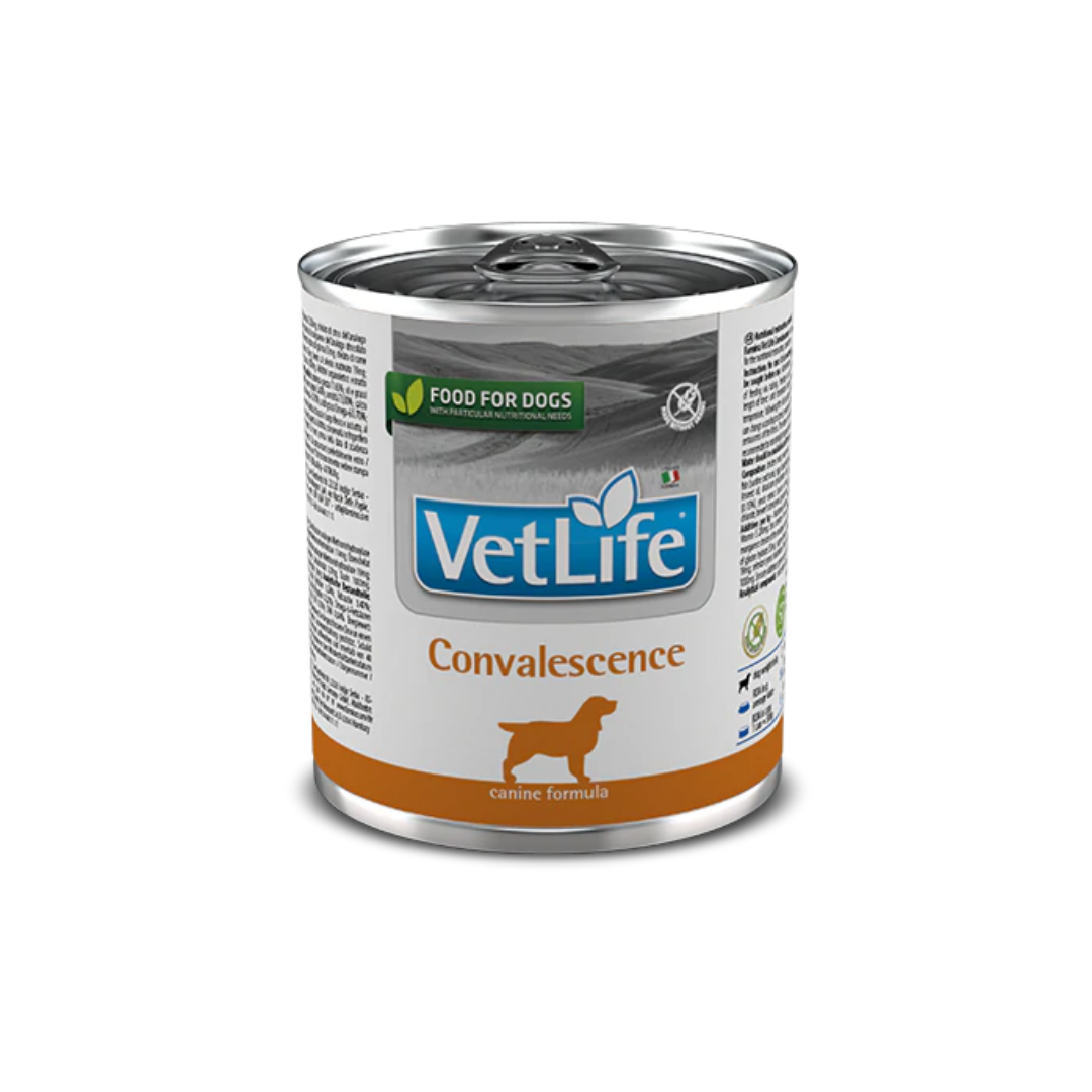 VetLife Convalescence Dog Wet Food 300gm