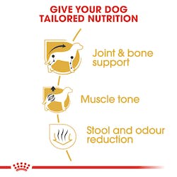 Royal Canin Dachshund Adult Dog food