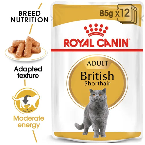 Royal Canin British Shorthair Cat Food (Gravy)