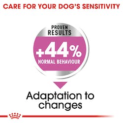 Royal Canin Relax Care Mini Dog Dry Food