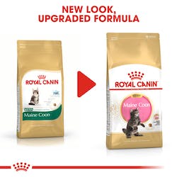 Royal Canin Maine Coon Kitten Cat Food