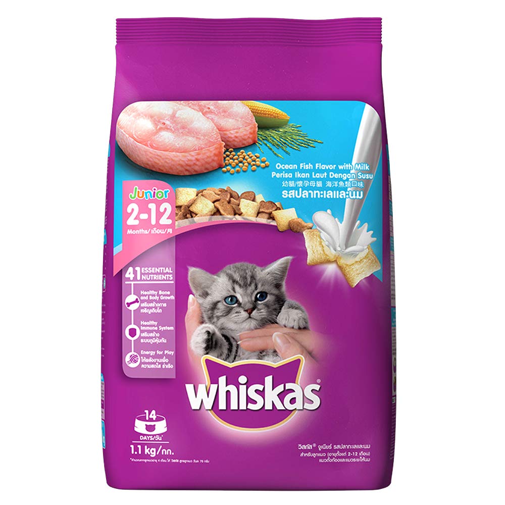 Whiskas Kitten Small (2-12 months) Dry Cat Food, Ocean Fish, 1.1kg Pack Flavour : Seafood