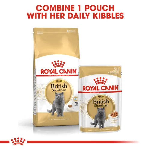 Royal Canin British Shorthair Cat Food (Gravy)